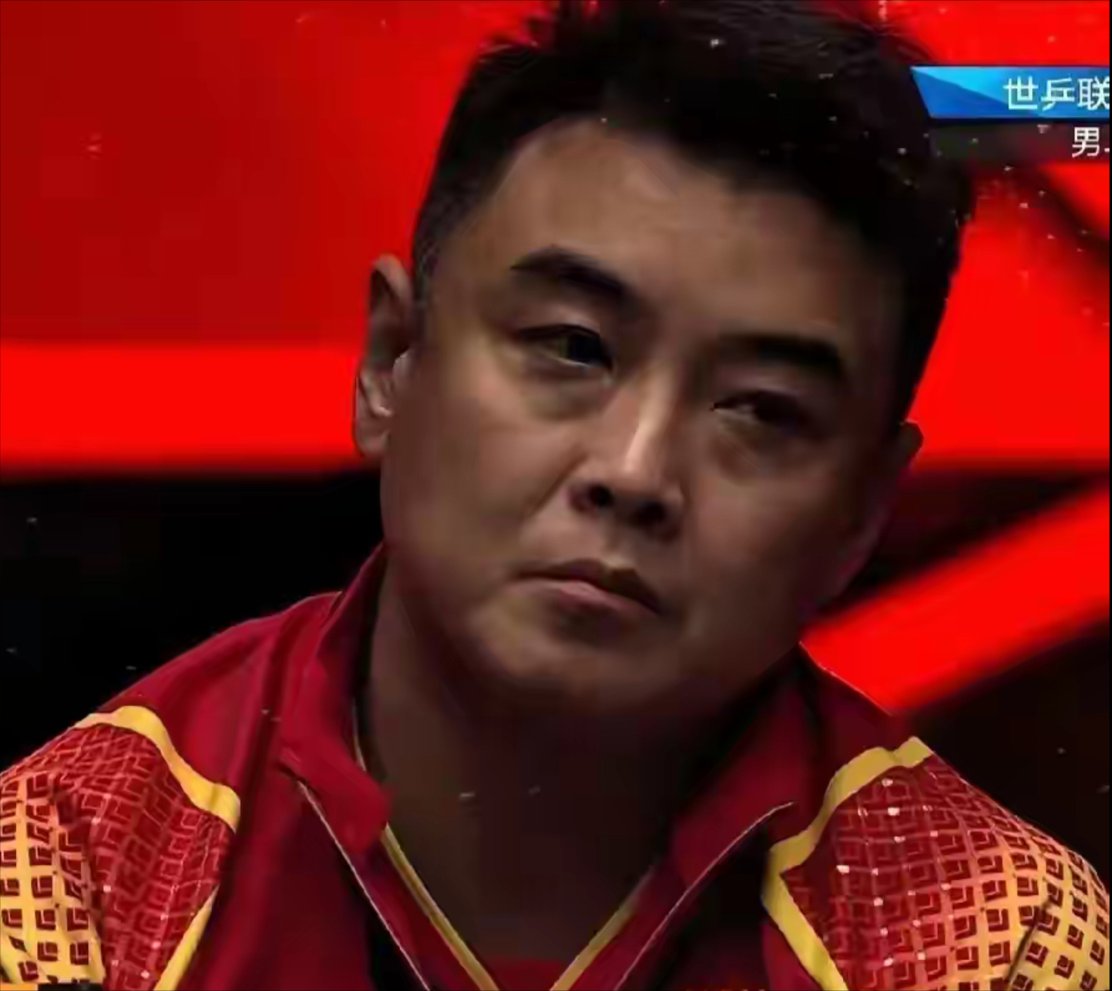 法国乒乓球队鏖战中国乒乓球队，王皓一己之力扛起全队的简单介绍