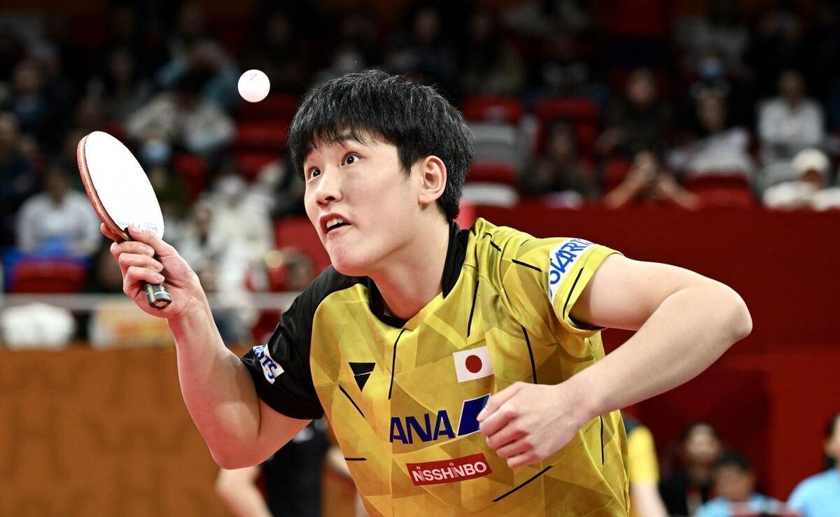 日本乒乓球队爆冷德国乒乓球队,张本智和完成帽子戏法的简单介绍 日本乒乓球队爆冷德国乒乓球队,张本智和完成帽子戏法的简单介绍